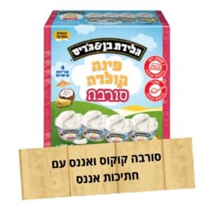 תמונה של גלידה בן אנד ג'ריס סורבה פינה קולדה