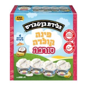 תמונה של מאגדת גלידת בן & ג'ריס סורבה פינה קולדה