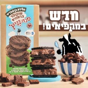 תמונה של גלידת בן אנד ג'ריס שוקולד בראוניס