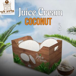 גלידה שמנת בטעם קוקוס בתוך קוקוס