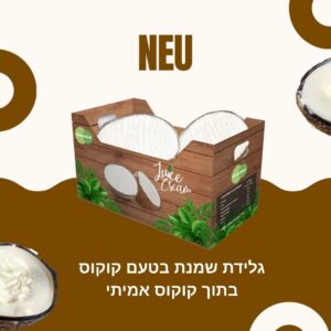גלידת שמנת בטעם קוקוס בתוך קוקוס אמיתי