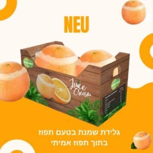 גלידת שמנת בטעם תפוז בתוך תפוז אמיתי
