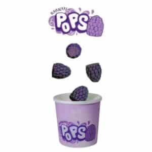 מארז גלידוניות פופס פטל